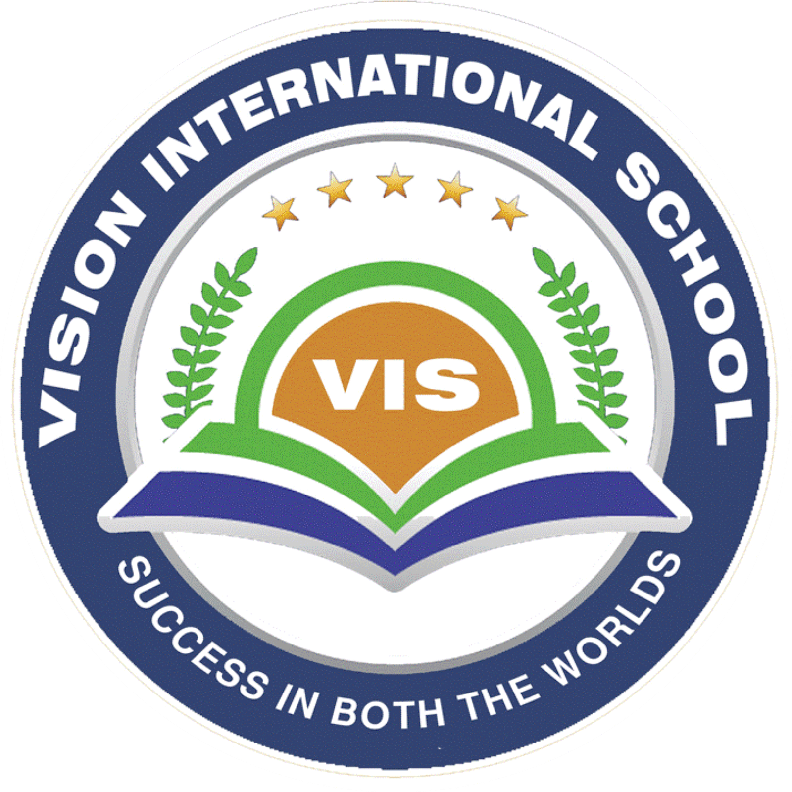 Vision International School